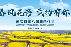 “故事的小黄花~”3月31日，相约武功油菜花节！图片