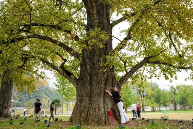 “出圈”国际！多国旅行商打卡随州