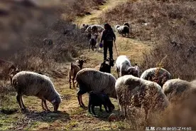 父亲瘫痪后，继母靠种地放羊养育我15年，如今人人都羡慕她的生活图片