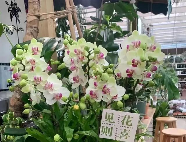 有一种烟火气叫“罗庄大集”，「美食+美景」全攻略