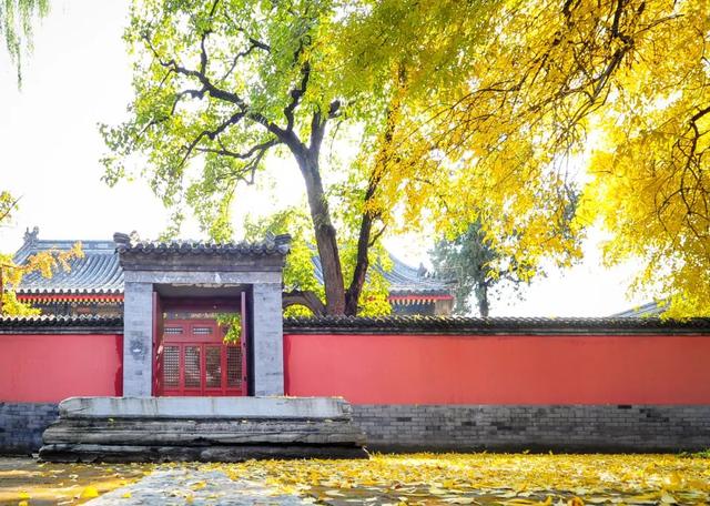 博物FUN | 在北京最神秘寺庙，遇见皇家工艺天花板