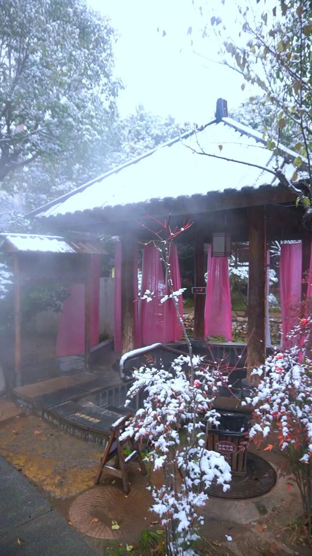 【雪漫汤头 温泉入梦】 汤头温泉旅游度假区“清冷与温润”的冬日美景皆在这里