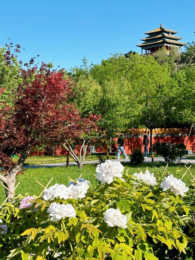 年轻人不看5A景区，宁愿坐5小时车去大青山，避人流还解压