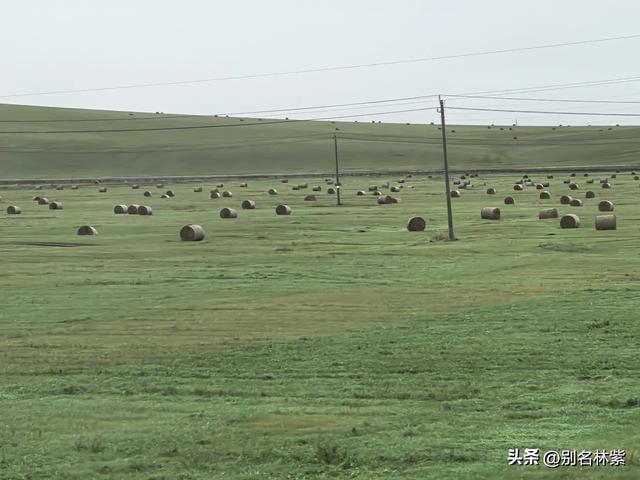 从满洲里前往额尔古纳市,分享公共交通乘车和住宿攻略(九)