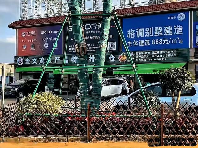 全红婵爸爸真风光，店门口立“冠军广场”标牌，成游客第一打卡区