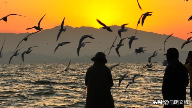 昆明十七公里外，藏着一个可以看“海”的白族村