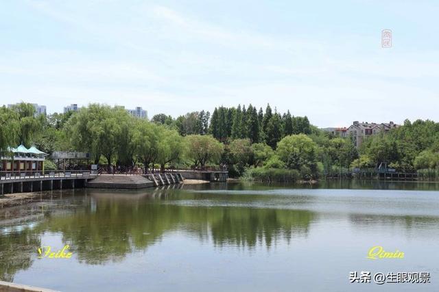 影记 | 青岛李沧文化公园掠影
