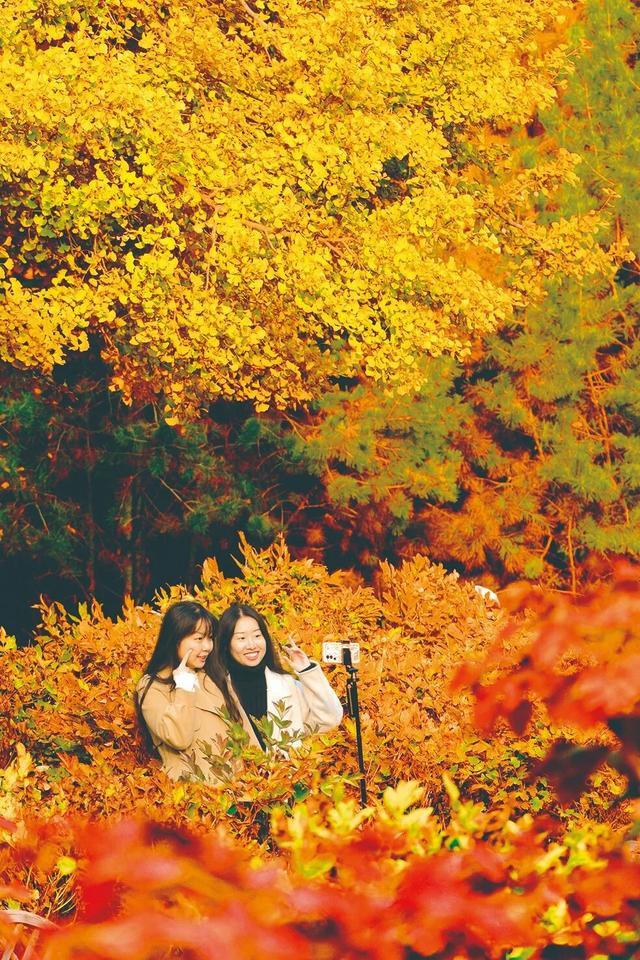 看！太原的秋天，绝美！