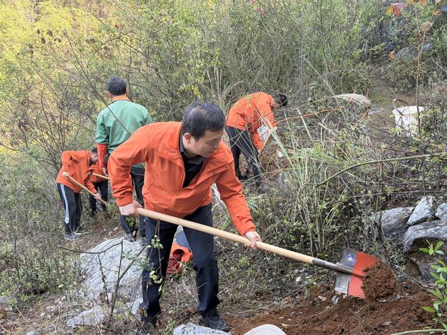 春风拂如意·植木共山青|桂林阳朔如意峰索道景区开展公益植树活动