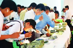 缅甸矿业产品出口数据出炉；缅再批复新项目，提供就业岗位1423个图片