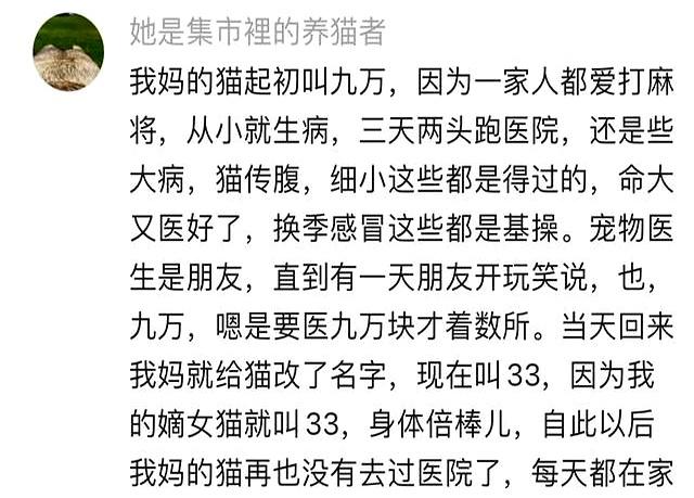 都说人会因为名字太大而压不住，没想到，猫也会！