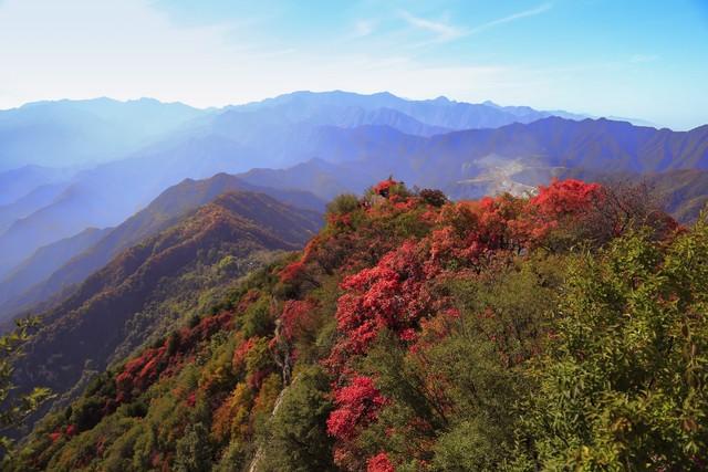广东10城深秋限定！红叶银杏+古寺，小众路线美到刷爆朋友圈！