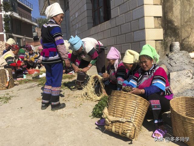 哀牢山的哈尼山寨：立秋了，梯田、歌声、泥巴仗里藏着最野的诗意