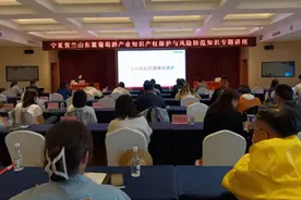 优化营商环境 宁夏贺兰山东麓葡萄酒产区举办知识产权保护与风险防范知识专题讲座图片