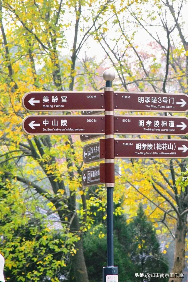 这块南京顶流打卡地居然变成这样了？