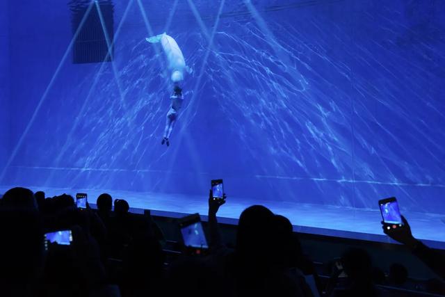 候车新玩法!机器人“墨茵”上岗,这里还有专属福利