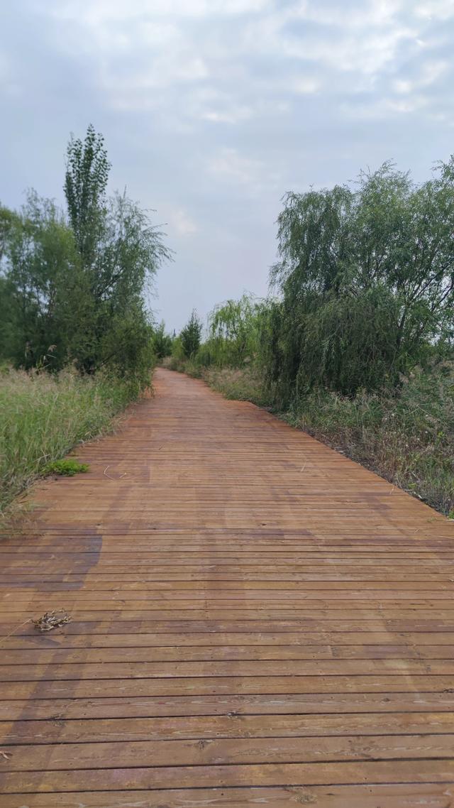包头城南靠近黄河的昭君湖，也叫小白河景区，黄河浩渺，湖平如镜