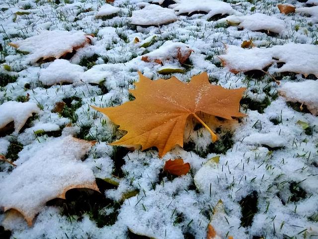 “白天立冬，暖烘烘；晚上立冬，冻死牛”，今年立冬是几点？