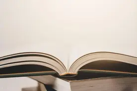 2023年文学研究发展报告图片