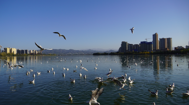 汉台的秋，真美....