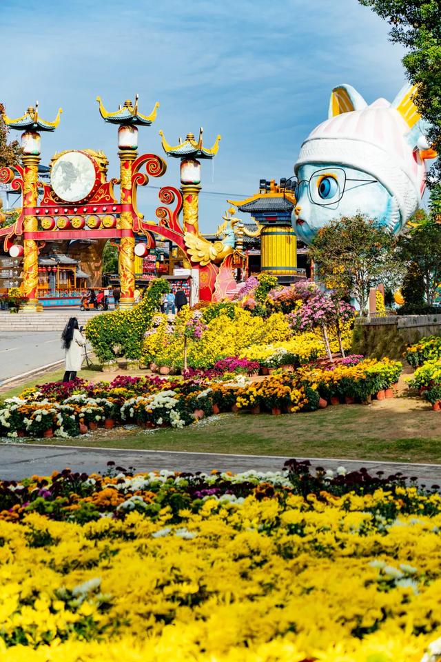 木兰花乡300000盆菊花热烈盛放