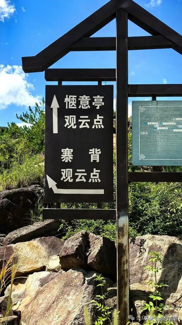 “浙南之巅”竟藏着以奇石景观著称的微缩版三清山,目前免费玩!