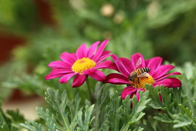 爆款标题：人这一生	，最大的憾事莫过于相遇越无法相拥。