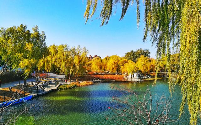 狂风散尽现碧空 北京市民陶然亭公园共赴“大风蓝”之约