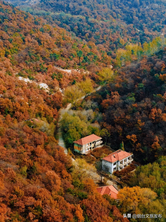 【乐游烟台】目测要火！烟台这座小城最近好看得离谱