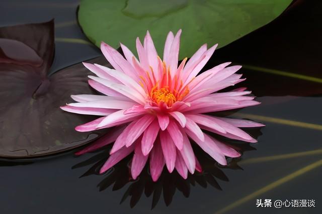 10个直击现实的人生法则