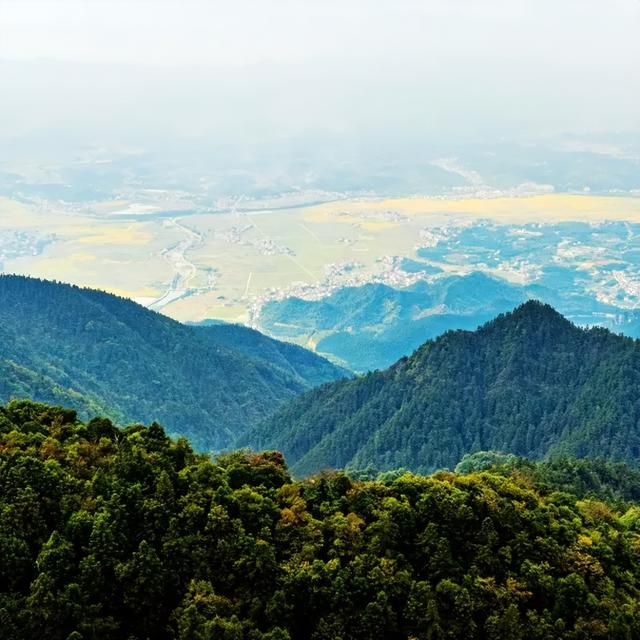 秋冬遛娃“药”新鲜！能吃能玩还能“养”，这条游玩路线一站式拿捏