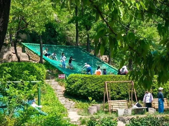 山东的阿勒泰私藏在日照！秋风一吹，如此绚烂！