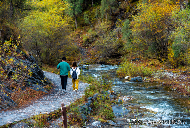 双节假期寻秋记：互助北龙山——藏在互助的“调色盘”，每一步都是诗意