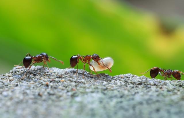 海淀妈妈不敢说的秘密：我花20万报班，却把8岁儿子逼出了抽动症