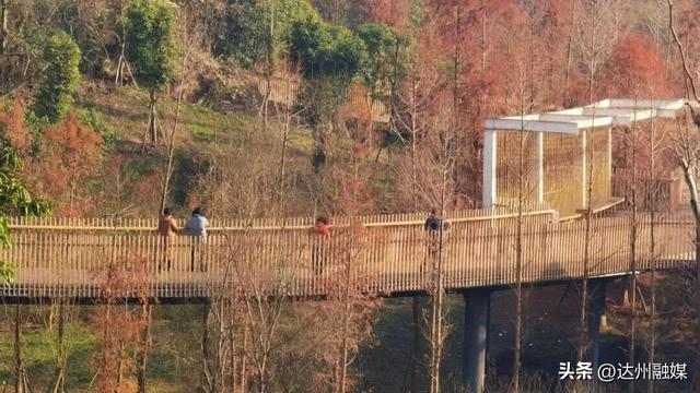 周末带娃去哪儿？达州这个公园最近火了