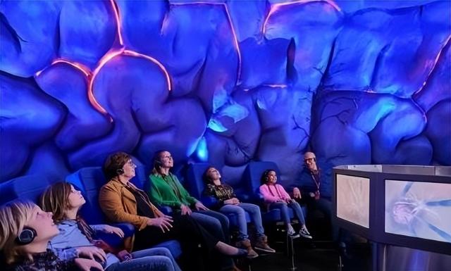 荷兰“重口味”博物馆，内部人体结构逼真，女游客不敢看