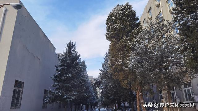 2025年北京冬天第一场雪后随手拍的小情小景，打动您了吗