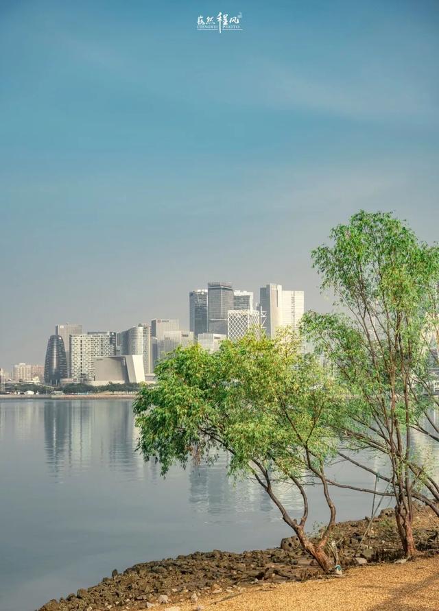 漫步前海：邂逅花海、踏浪听风，在摩天轮下收藏一城浪漫