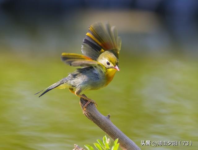 两性关系，惊人发现，60岁与异性靠近，根本不是桃花运，而是这