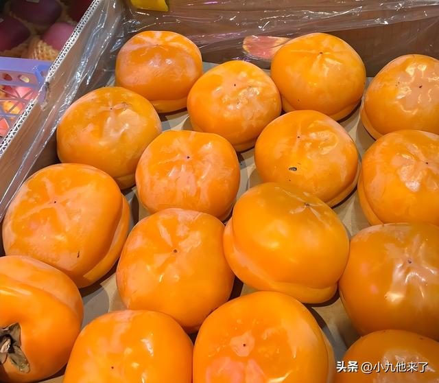 易县旅游景点大全，2025易县！秘境藏着河北的山水与历史推荐收藏