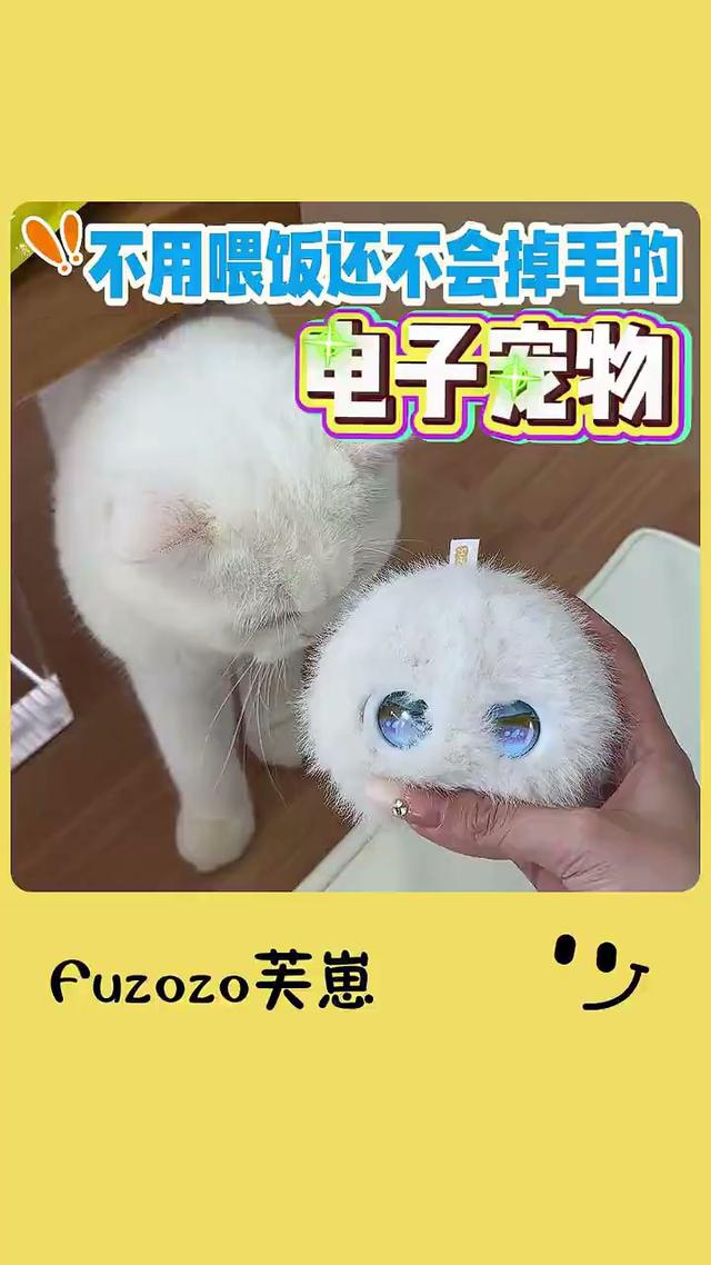 AI陪伴机器人99万一台预售破万台是真需求还是真营销