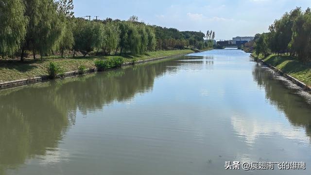 《美丽的泥家浜河畔悠然时光》