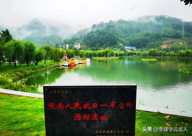 烟雨后柳