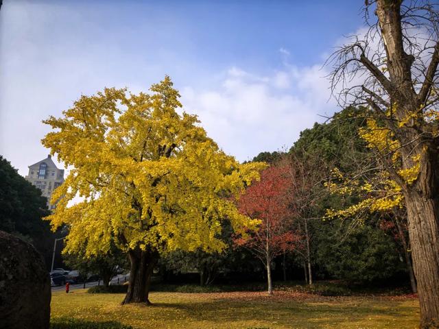 旅游的乐趣之一——结交更多的知己好友