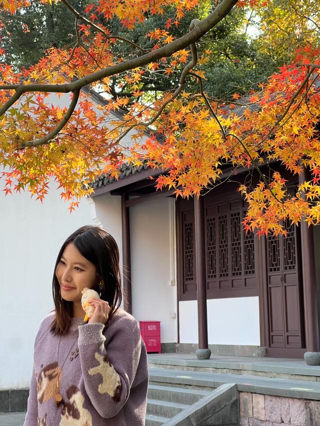 杭州红叶季：桂花之后百花杀，旖旎红叶胜百花。