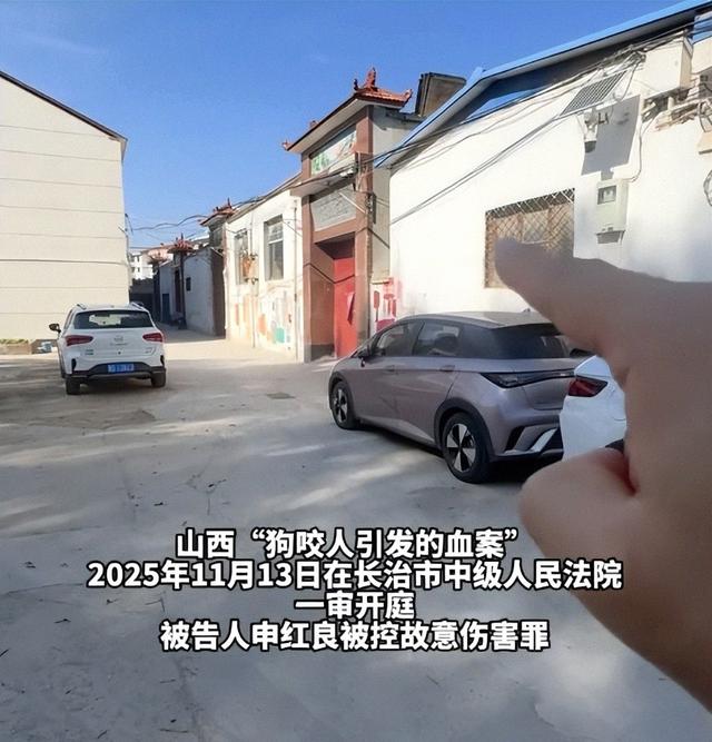 山西摔犬反杀案，律师一句话问住法官：天黑时，你还敢去现场吗？