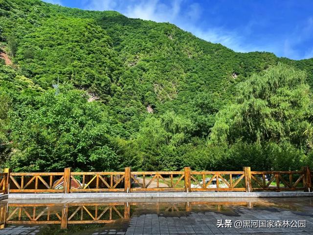 三伏天避暑新体验，这几处宝藏景点凉气十足！