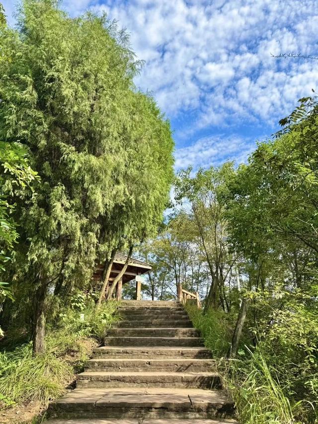 赏秋正当时！成都秋日适合爬山的好去处!
