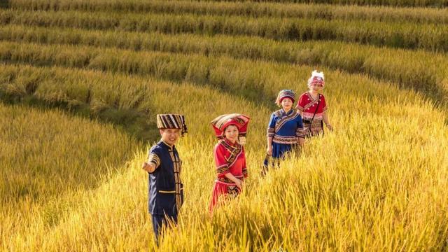 暖冬乐游来清远！七大惠民措施将在11月7日发布