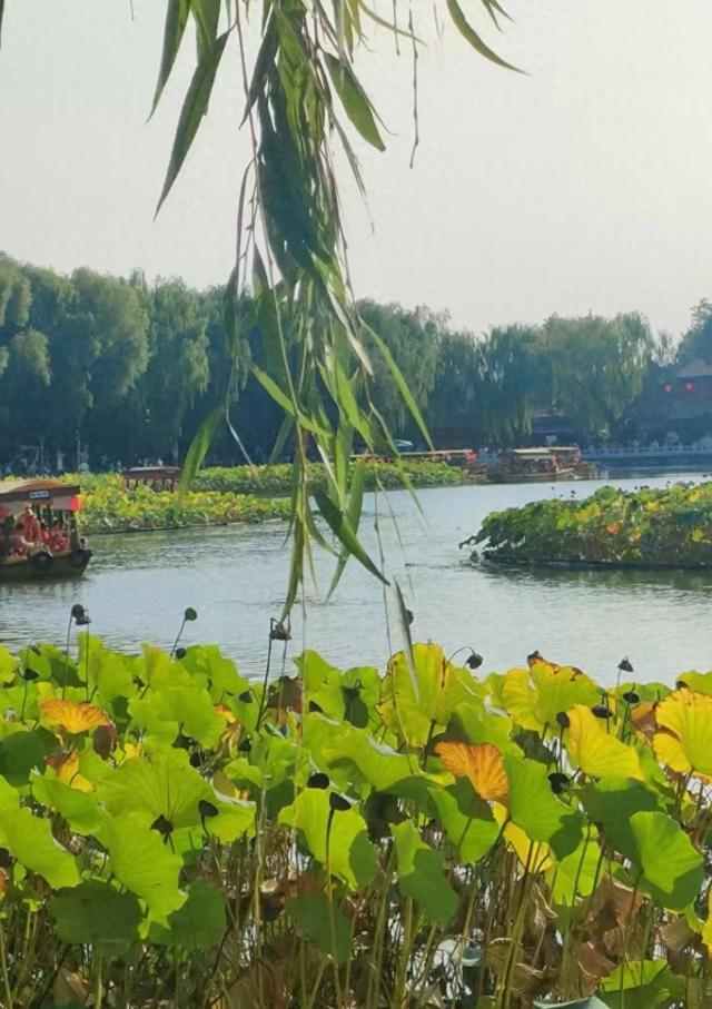 王林平随笔《古人对水域的诗情画意》